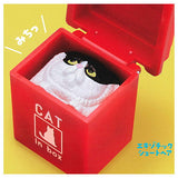 Cat cube [5.Exotic shorthair]