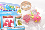 Miniature tropical fruit [3.dragon fruit]