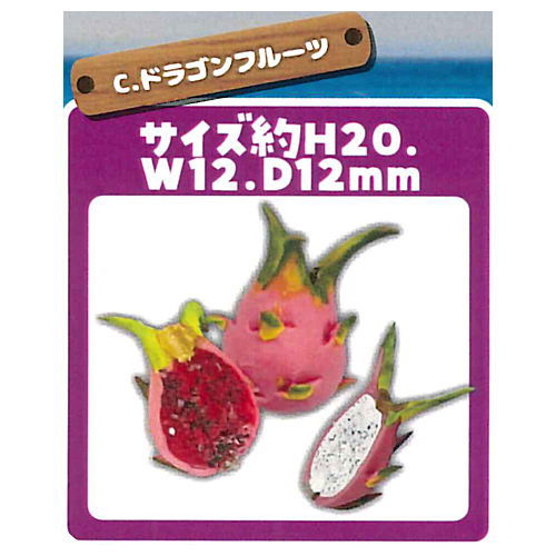 Miniature tropical fruit [3.dragon fruit]