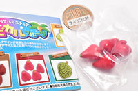Miniature tropical fruit [5.Wax Apple]