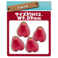 Miniature tropical fruit [5.Wax Apple]