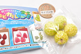 Miniature tropical fruit [7.Sugar-apple]