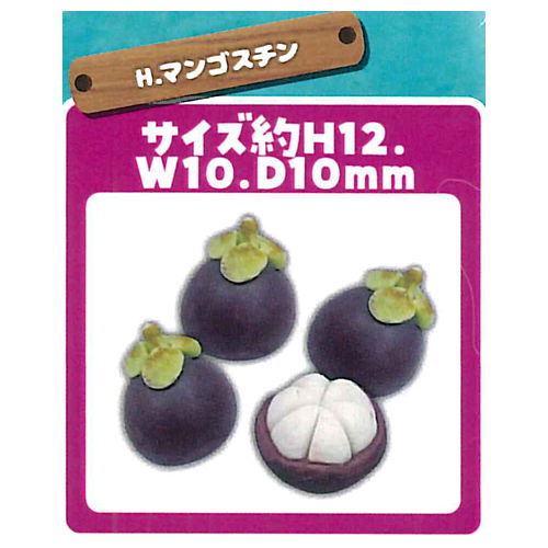 Miniature tropical fruit [8.Mangosteen]