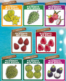 Miniature tropical fruit [All 8 type set (Full Complete)]