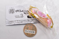 Strawberry Sweets mascot  VOL.3 [4.Strawberry roll]