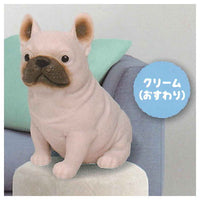 Munyatto A big French bulldog [2.Cream (Sitting)]