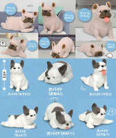 Munyatto A big French bulldog [All 12 type set (Full Complete)]