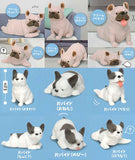 Munyatto A big French bulldog [All 12 type set (Full Complete)]