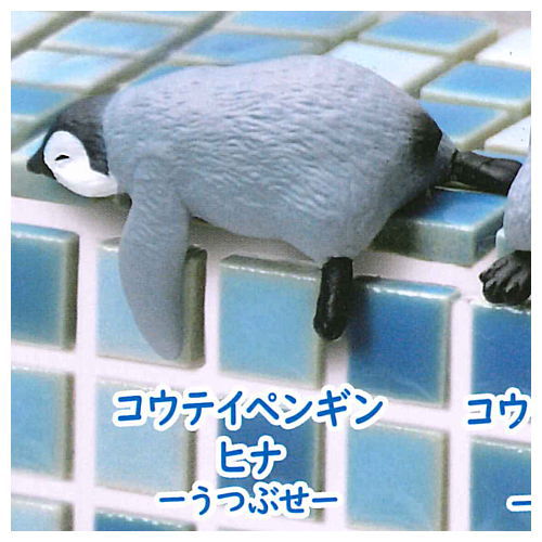 Fuchiyasumi Penguin [1.Emperor Penguin Hina -Utsubuse-]