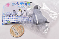 Fuchiyasumi Penguin [2.Emperor Penguin Hina-Koshikake-]