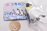 Fuchiyasumi Penguin [3.Emperor penguin]