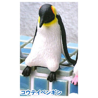 Fuchiyasumi Penguin [3.Emperor penguin]