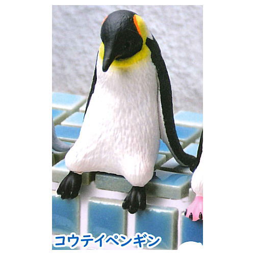 Fuchiyasumi Penguin [3.Emperor penguin]