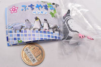 Fuchiyasumi Penguin [4.Magellanic penguins]
