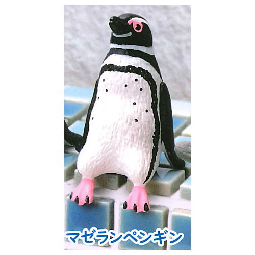 Fuchiyasumi Penguin [4.Magellanic penguins]
