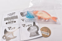 Children's Dictionary Encyclopedia Nakamimarumie figure Bone mechanism hen [4.Sea bream]