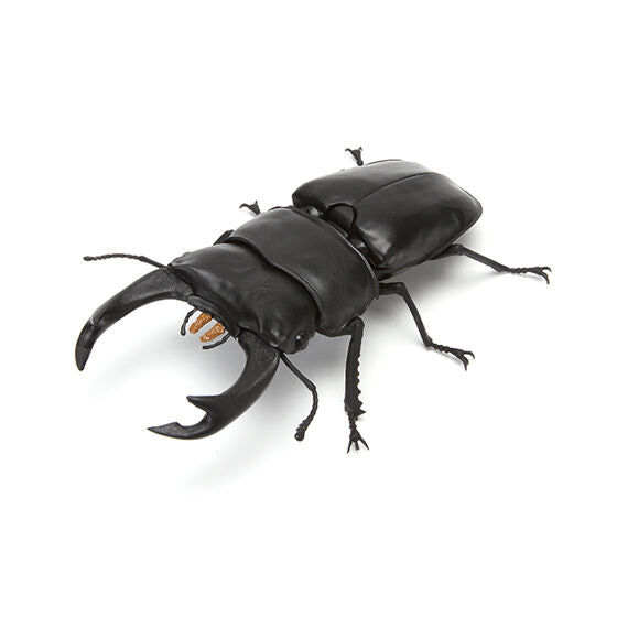 Kuwagata 03 [1.Giant stag beetle]