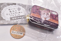 Real! Canned chocolate & cookie mascot DECORER [5.Osumashi Nyanko can]