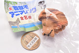 Zoku Beast King Animal Ring [8.Lion]