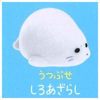 PuCute! Seal [6.White Seal Utsubuse]