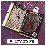 Insect Encyclopedia Mascot World Spider [2.Redback spider]