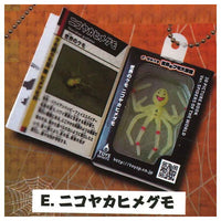 Insect Encyclopedia Mascot World Spider [5.Theridion grallator]