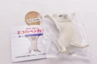 Cat pen holder Part.5 Drooping ears, Long hair ver [5.Persian silver]