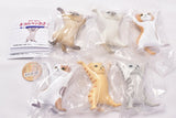 Cat pen holder Part.5 Drooping ears, Long hair ver [Normal 6 type set(Super rare is NOT including)]