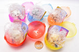 Mogumogu! Hamster Flocky [All 5 type set (Full Complete)]