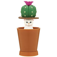 Detekuru Cat! [1.Cactus x White]