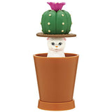 Detekuru Cat! [1.Cactus x White]