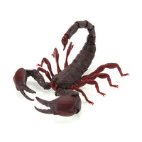 Encyclopedia of creatures Scorpion [2.Red Claw Emperor Scorpion (Large)]