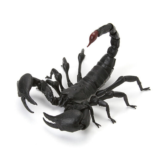 Encyclopedia of creatures Scorpion [3.Emperor Scorpion (Small)]