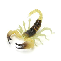 Encyclopedia of creatures Scorpion [5.Israel Golden Scorpion]