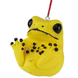 Manmaru frog netsuke Part2 [8.Poison dart frog (B)]