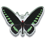 Science Techni colour Private specimen of Lepidopteran Acrylic Mascot Part.2 [1.Idea leuconoe]