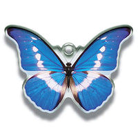 Science Techni colour Private specimen of Lepidopteran Acrylic Mascot Part.2 [2.Hebomoia glaucippe]