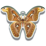 Science Techni colour Private specimen of Lepidopteran Acrylic Mascot Part.2 [3.Ideopsis similis]