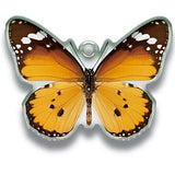 Science Techni colour Private specimen of Lepidopteran Acrylic Mascot Part.2 [6.Kallima inachus]