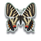 Science Techni colour Private specimen of Lepidopteran Acrylic Mascot Part.2 [10.Papilio machaon]