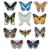 Science Techni colour Private specimen of Lepidopteran Acrylic Mascot Part.2 [All 10 type set(Full Complete)]