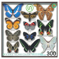 Science Techni colour Private specimen of Lepidopteran Acrylic Mascot Part.2 [All 10 type set(Full Complete)]