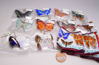 Science Techni colour Private specimen of Lepidopteran Acrylic Mascot Part.2 [All 10 type set(Full Complete)]