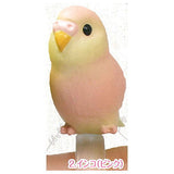 Yubinori Parakeet [2.Parakeet (pink)]