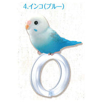 Yubinori Parakeet [4.Parakeet (blue)]