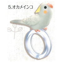 Yubinori Parakeet [5.Cockatiel]