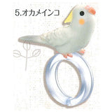 Yubinori Parakeet [5.Cockatiel]