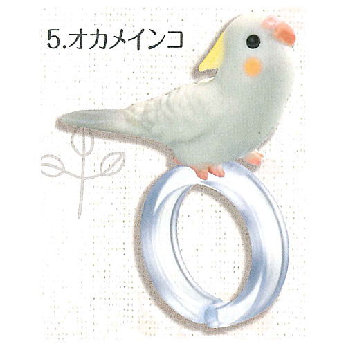 Yubinori Parakeet [5.Cockatiel]