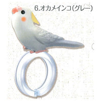 Yubinori Parakeet [6.Cockatiel (gray)]