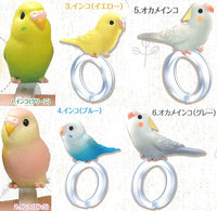 Yubinori Parakeet [All 6 type set(Full Complete)]